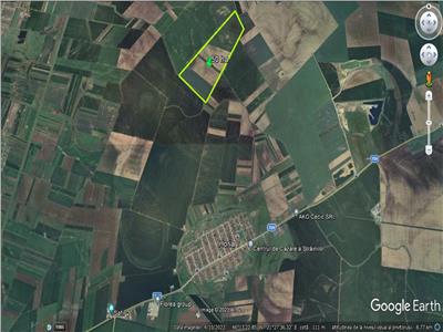 Teren 50 ha compact, pentru balastiera sau parc fotovoltaic, zona Horia
